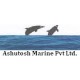  Ashutosh Ship Management